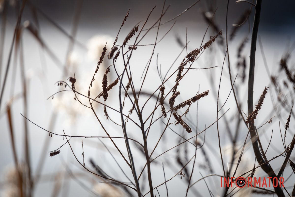 Рискуют собственной жизнью: в Днепре на Ломовском рыбаки вышли на первый лед 33