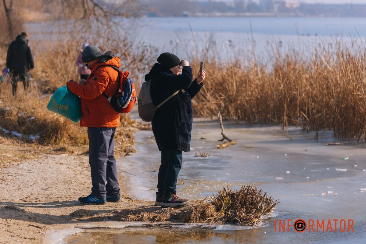 Днепряне любуются и кормят птиц