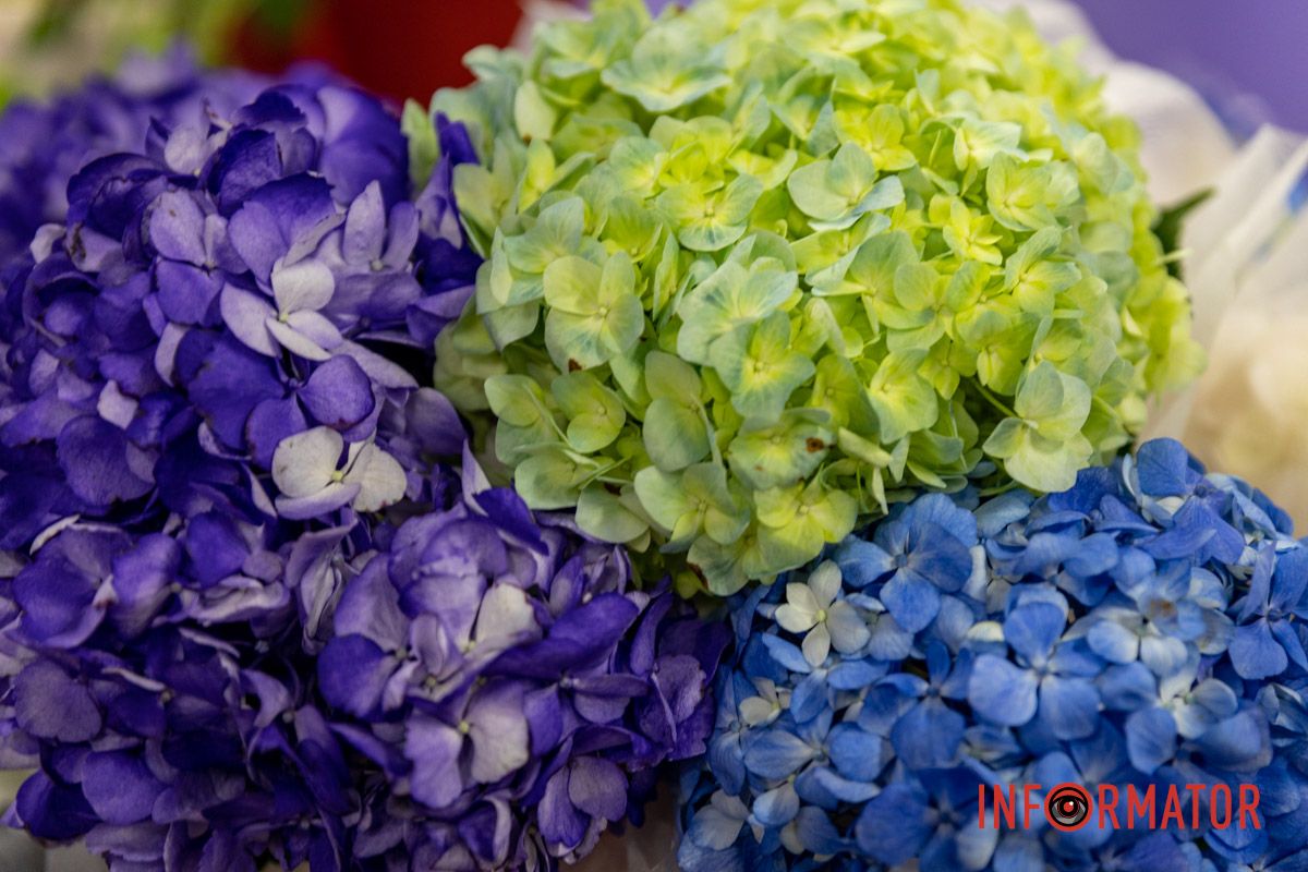 До 5 тысяч гривен за букет: сколько стоят цветы в Днепре на День святого Валентина 8