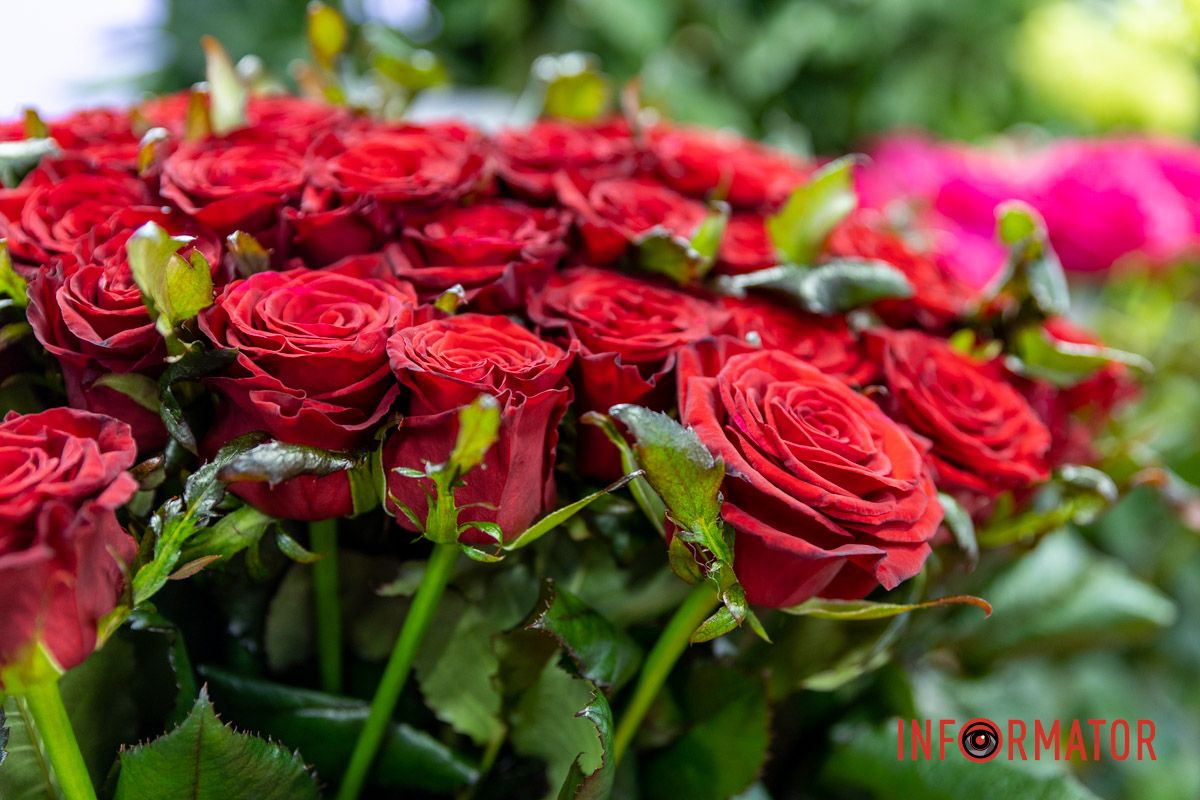 До 5 тысяч гривен за букет: сколько стоят цветы в Днепре на День святого Валентина 10