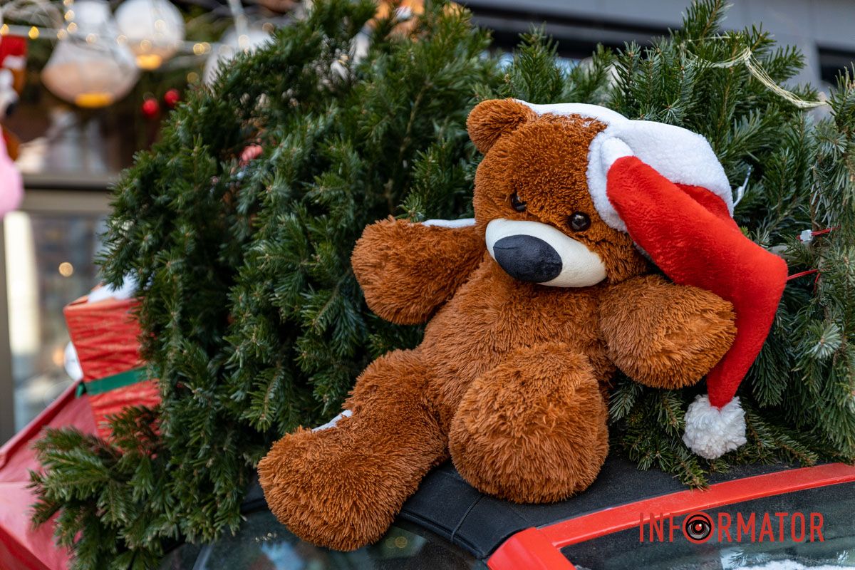 Де зробити романтичне фото у Дніпрі: топ святкових локацій міста 41