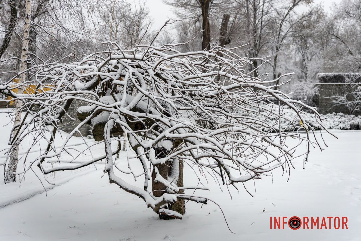 Заботливо окутал город невероятную атмосферу: Днепр 15 февраля превратился в зимнюю сказку 3
