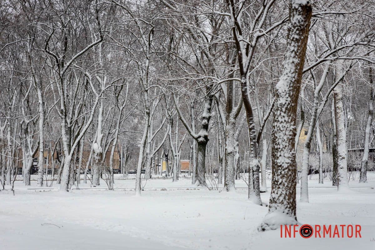 Заботливо окутал город невероятную атмосферу: Днепр 15 февраля превратился в зимнюю сказку 30