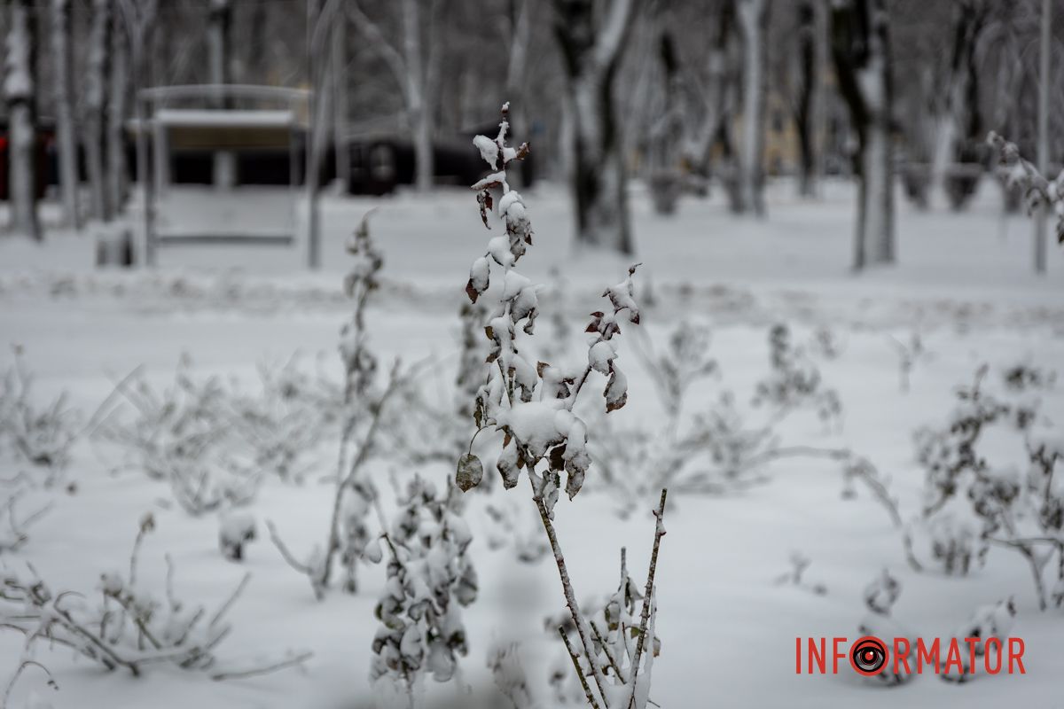 Заботливо окутал город невероятную атмосферу: Днепр 15 февраля превратился в зимнюю сказку 32
