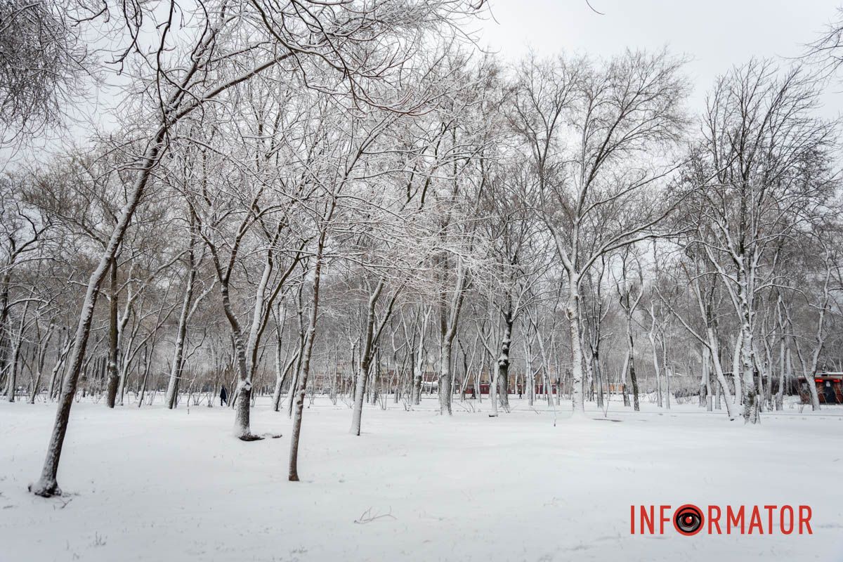 Заботливо окутал город невероятную атмосферу: Днепр 15 февраля превратился в зимнюю сказку 50