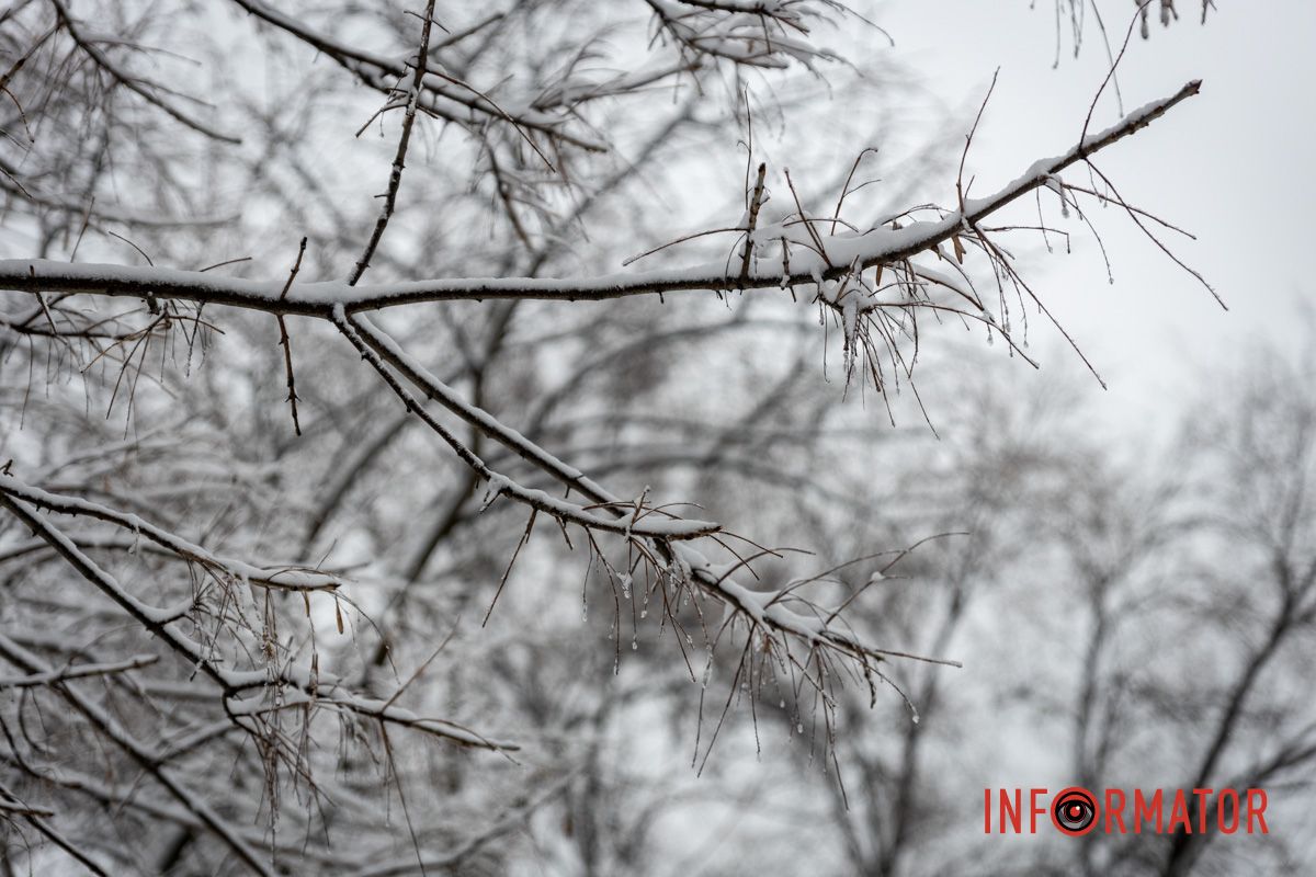 Заботливо окутал город невероятную атмосферу: Днепр 15 февраля превратился в зимнюю сказку 48