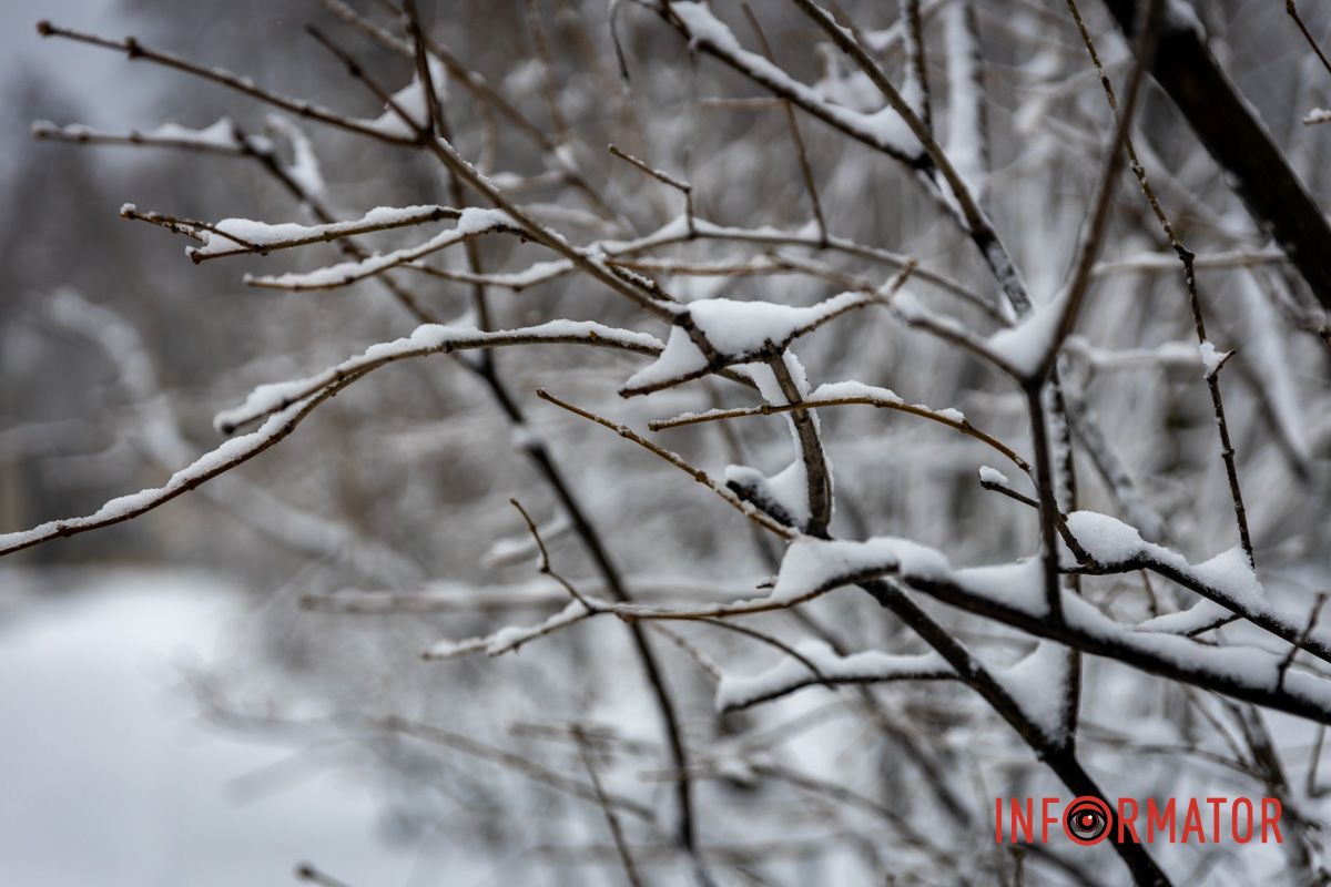 Заботливо окутал город невероятную атмосферу: Днепр 15 февраля превратился в зимнюю сказку 43