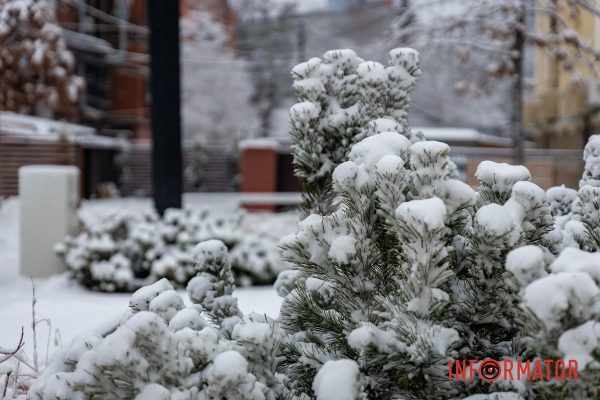 Заботливо окутал город невероятную атмосферу: Днепр 15 февраля превратился в зимнюю сказку 42
