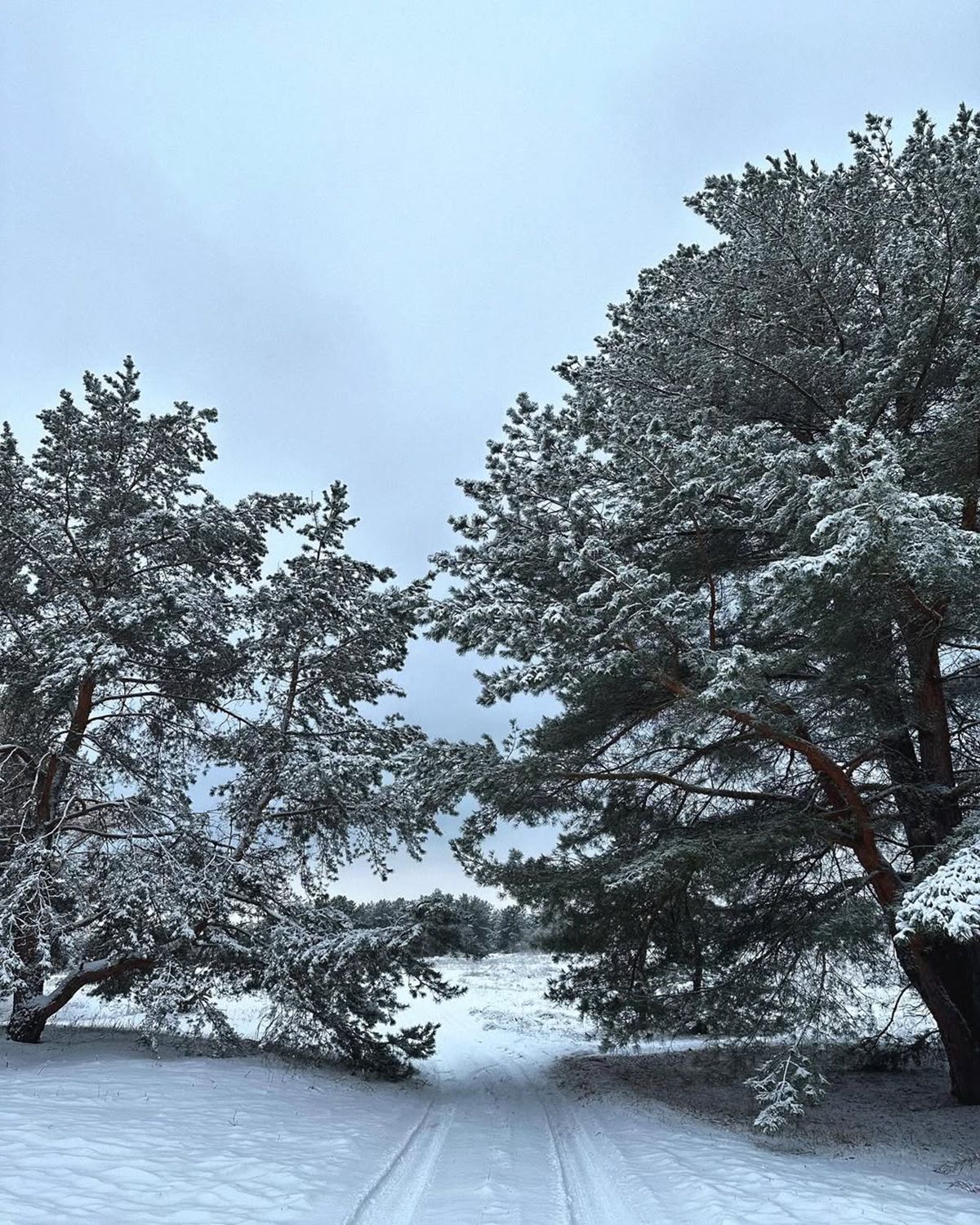 Фото: @gorbenkoo Такой заснеженный Днепр: топ фотографий из Instagram 6