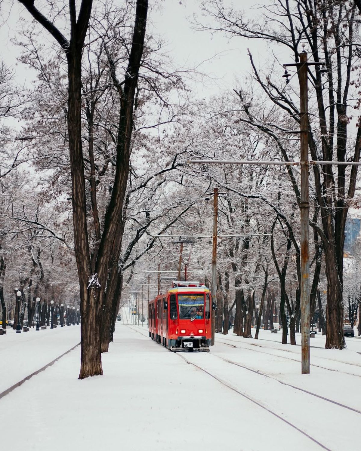 Фото: rozanovz Такой заснеженный Днепр: топ фотографий из Instagram 12