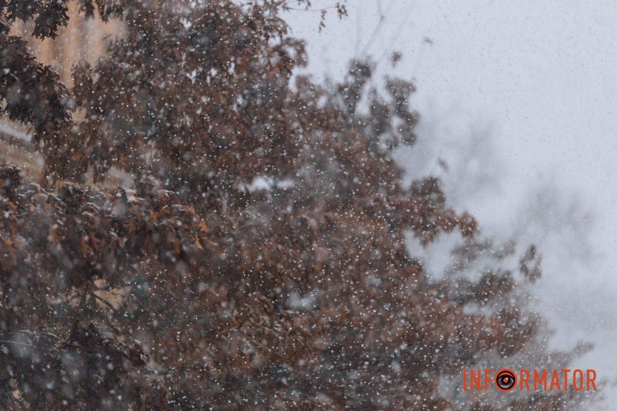 Білі пір'їни падають з неба 