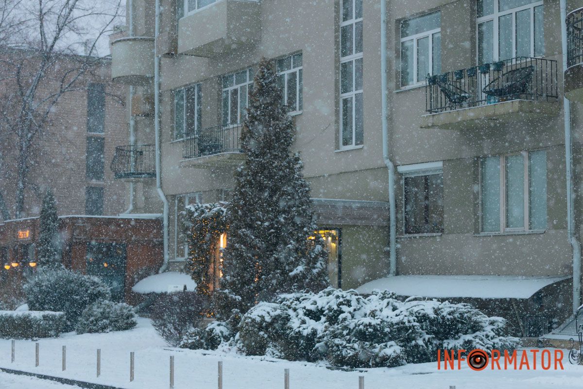 Дерева вкриті сніговою ковдрою 