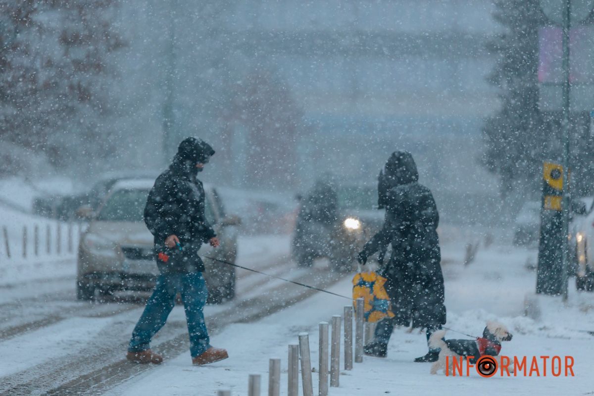 Дніпряни на прогулянці з домашніми улюбленцями 