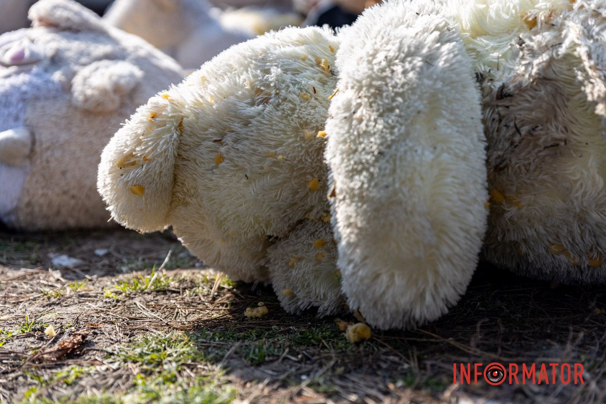 Ось так зараз виглядає зупинка біля будинку 118 на Перемозі Ось так зараз виглядає зупинка біля будинку 118 на Перемозі