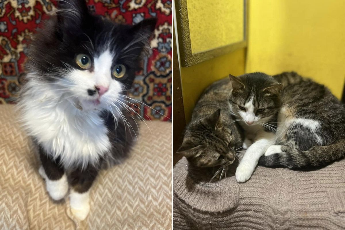 Мініпритулок "Промінчик надії"