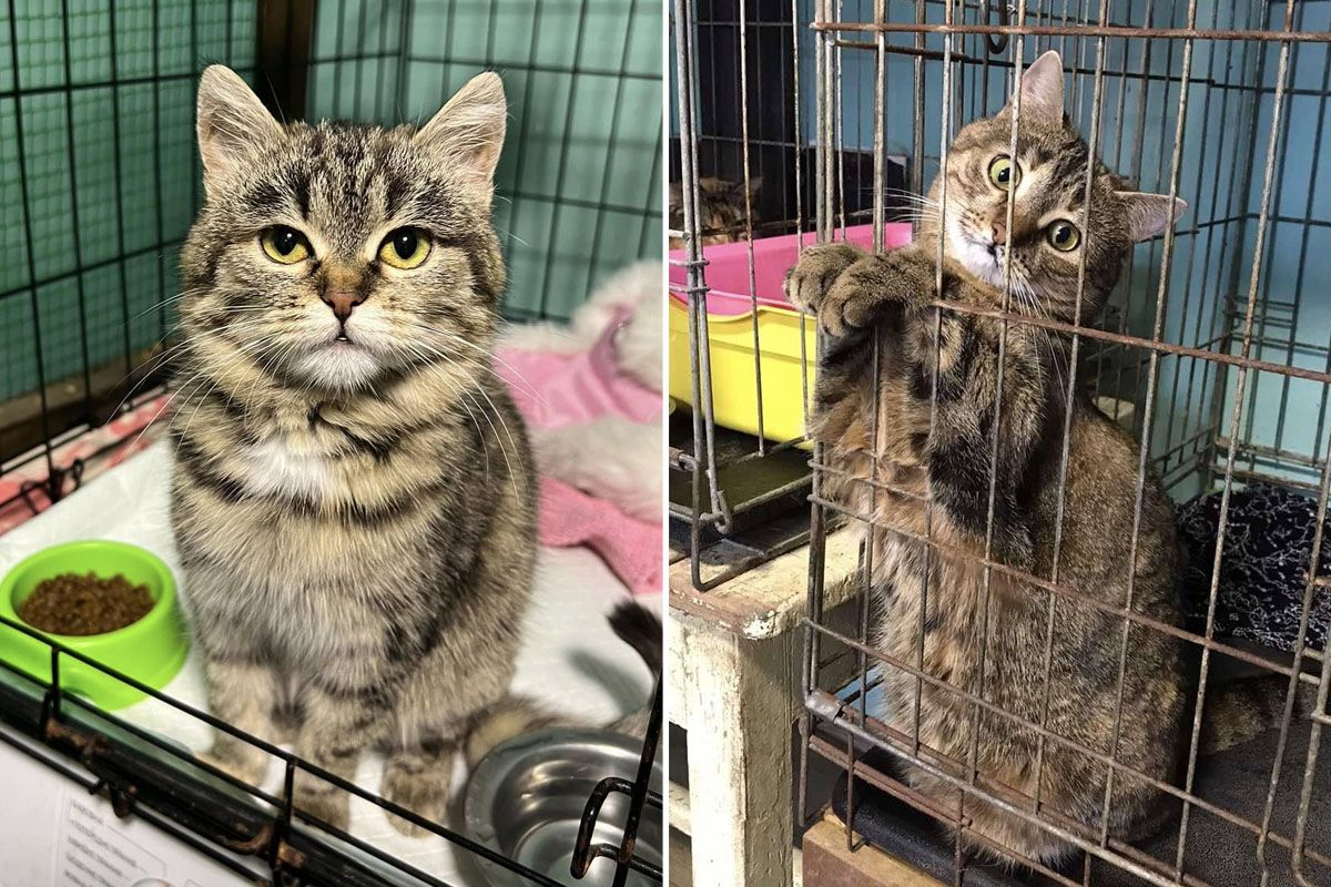 В очікуванні дніпрян