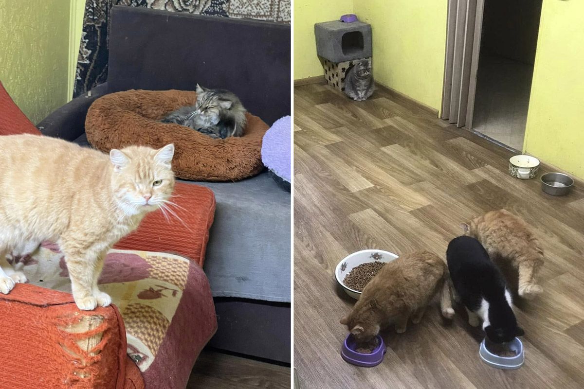 Усім їм потрібна турбота