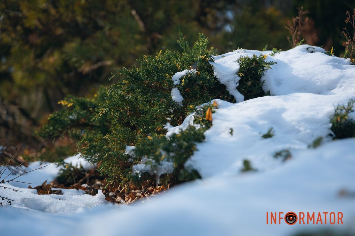 Воздух был наполнен запахом свежести