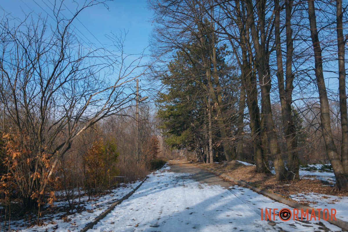 Прошла еще одна зима