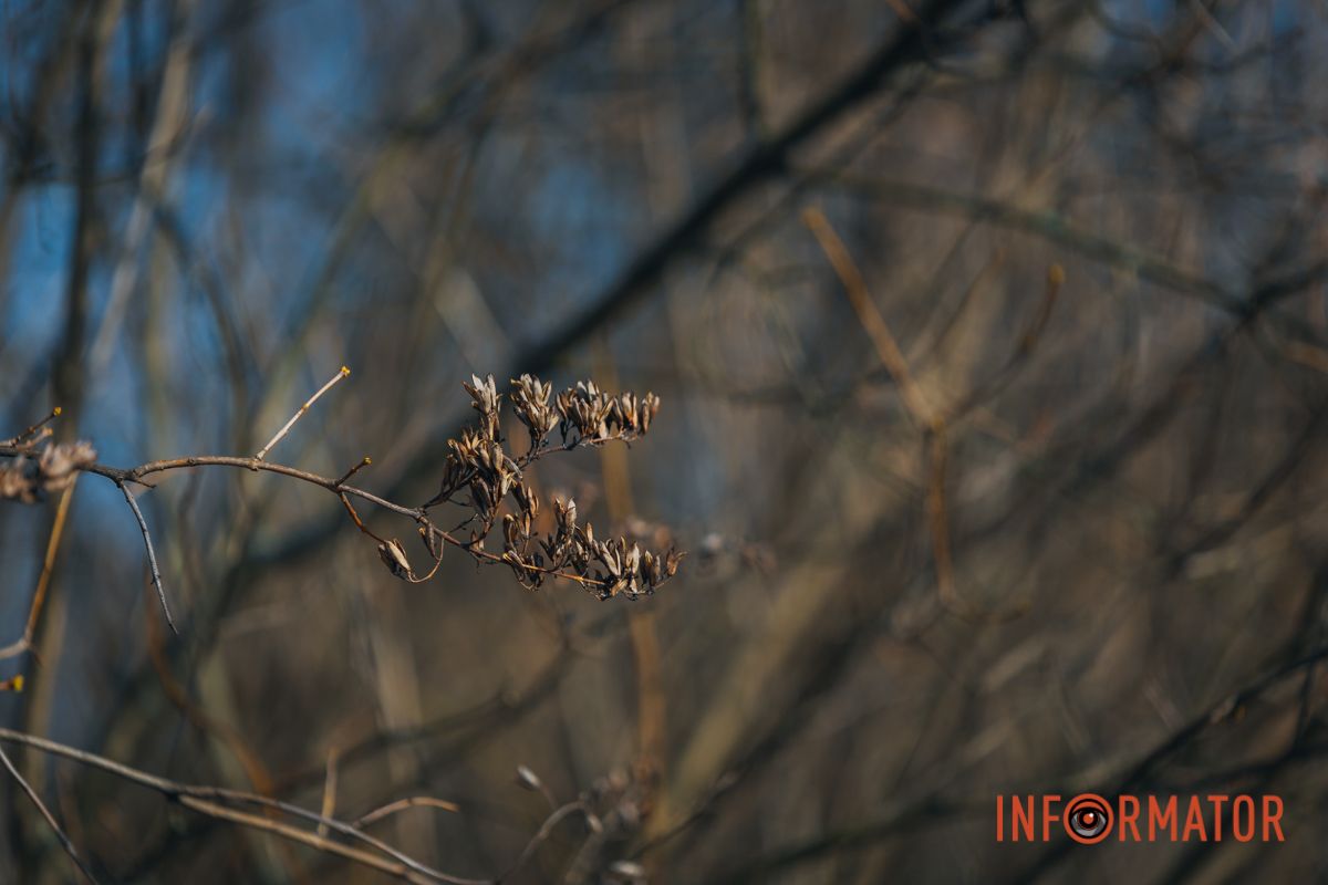 Скоро холода кончатся