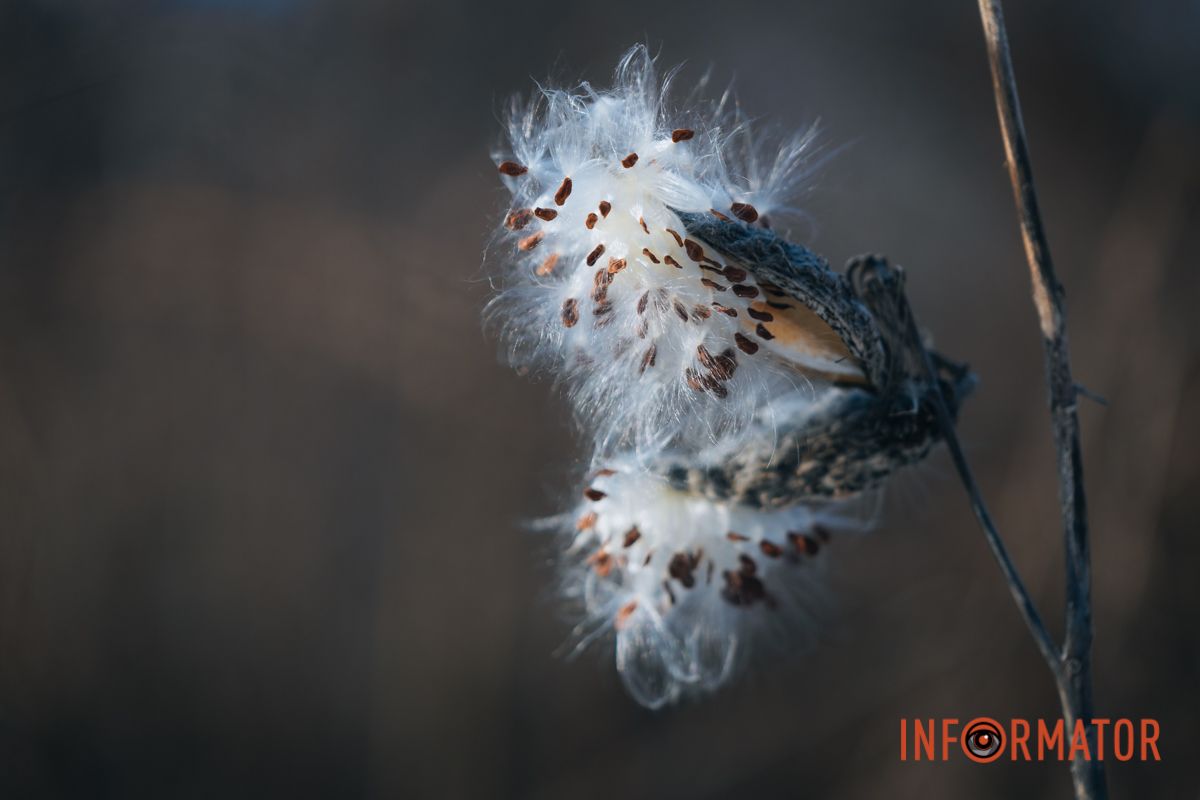 Природа просыпается