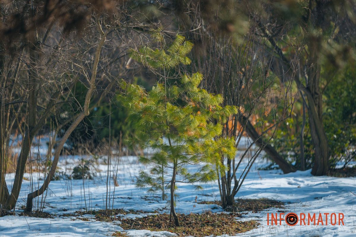 Фото: Денис Чубченко