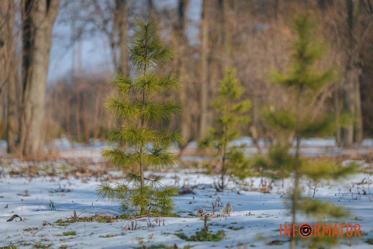 А вы ждали весной?