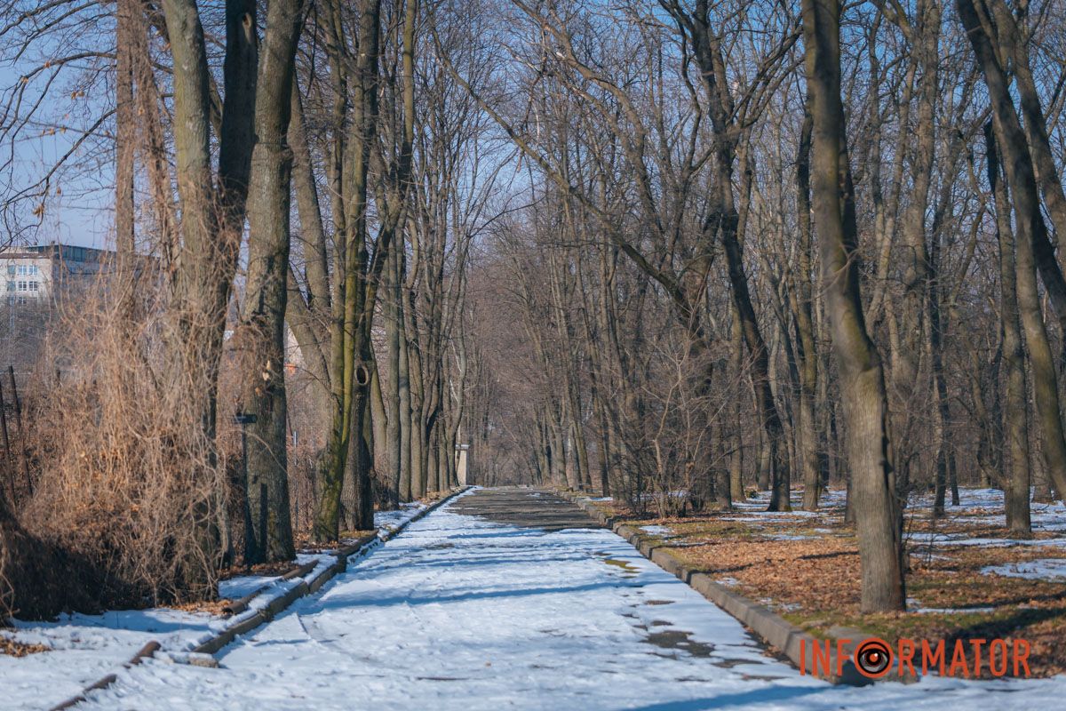 Голые деревья