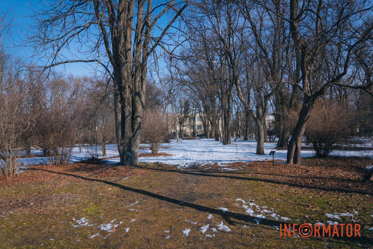 Родной город