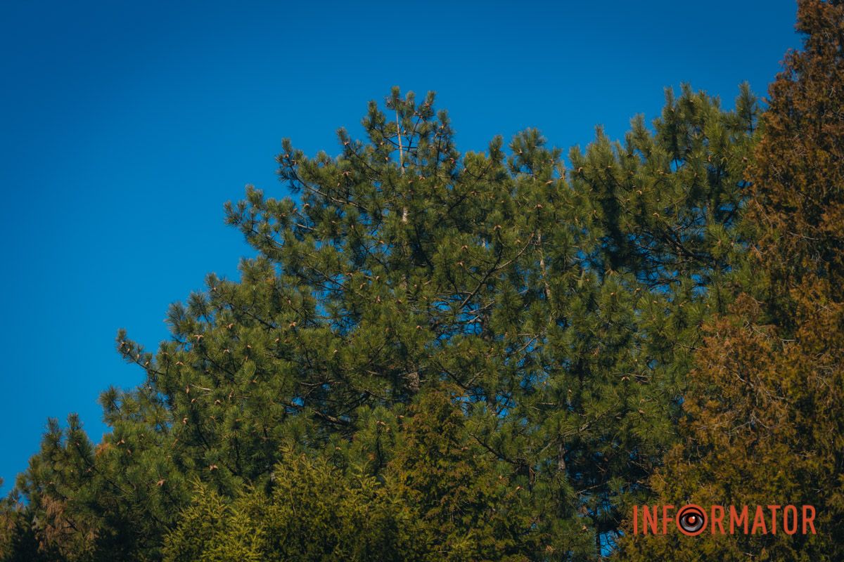 Тепло не за горами