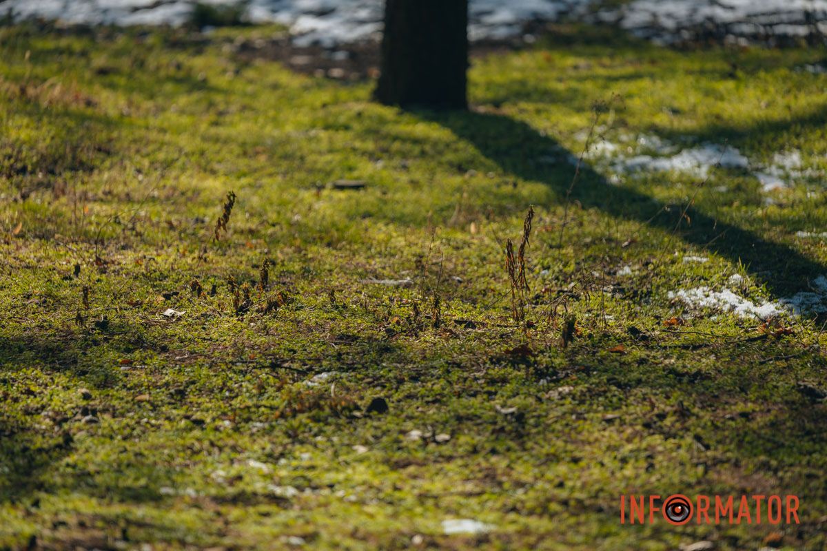 Белое на зеленом