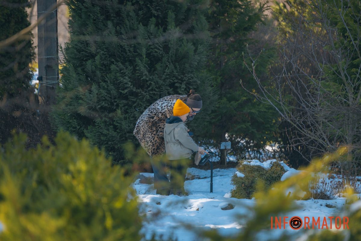 Прогулка вместе