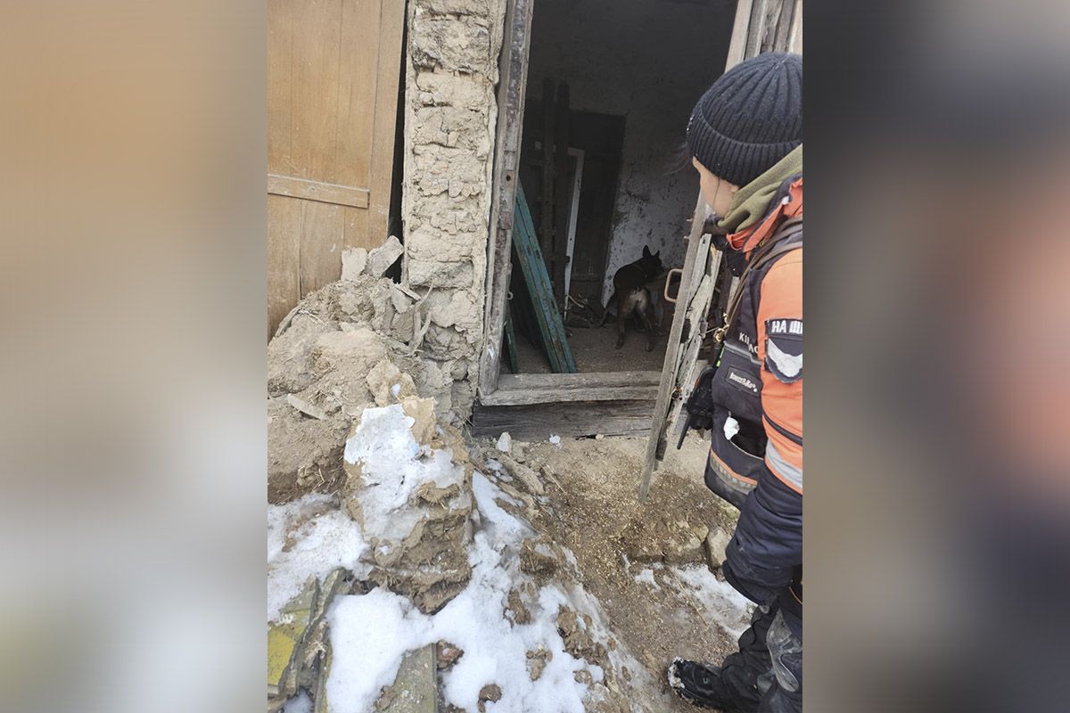 Беша имеет звание "Собака-Герой Украины" Беша имеет звание "Собака-Герой Украины"