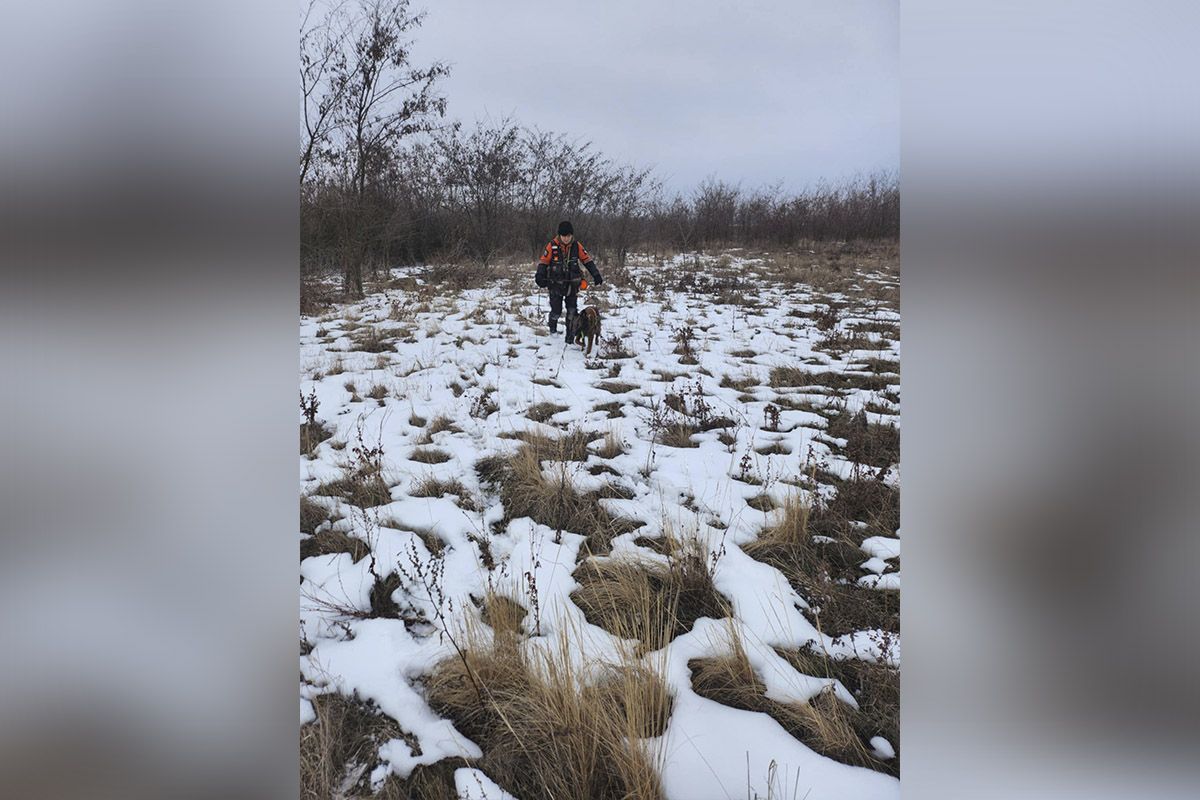 Пропавшую женщину обнаружила бельгийская овчарка Беша Пропавшую женщину обнаружила бельгийская овчарка Беша