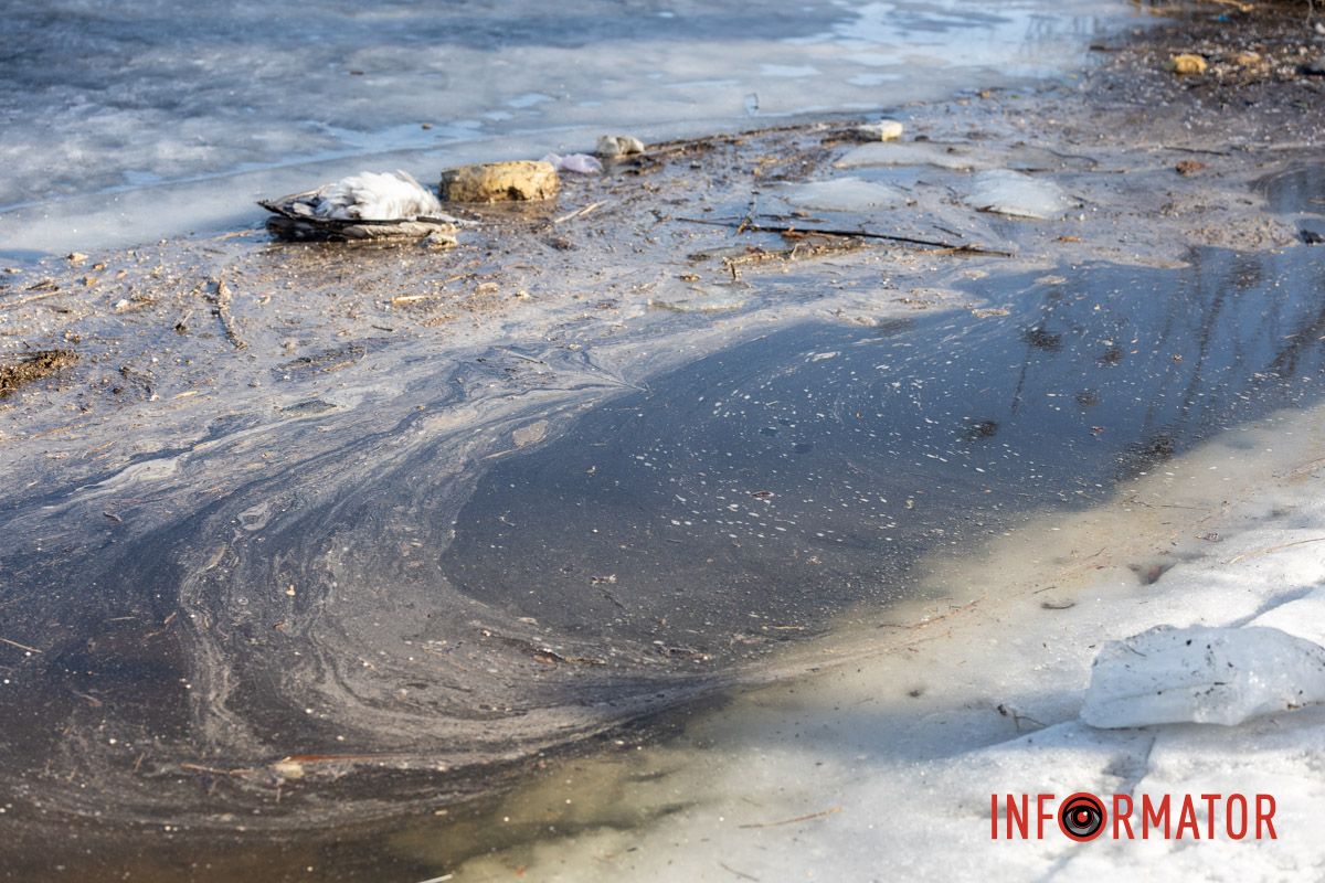Рискуют жизнью: в Днепре рыбаки массово выходят на хрупкий лед в +15 градусов.