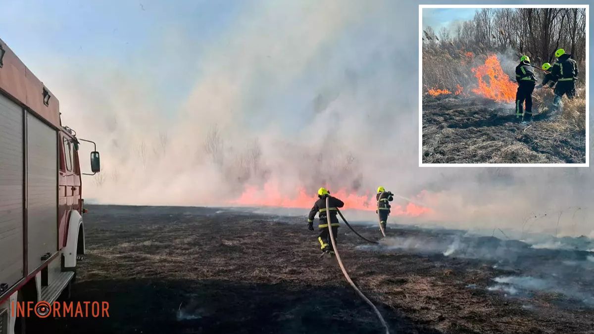 Понад 50 викликів: у Дніпропетровській області з потеплінням почастішали пожежі в екосистемах