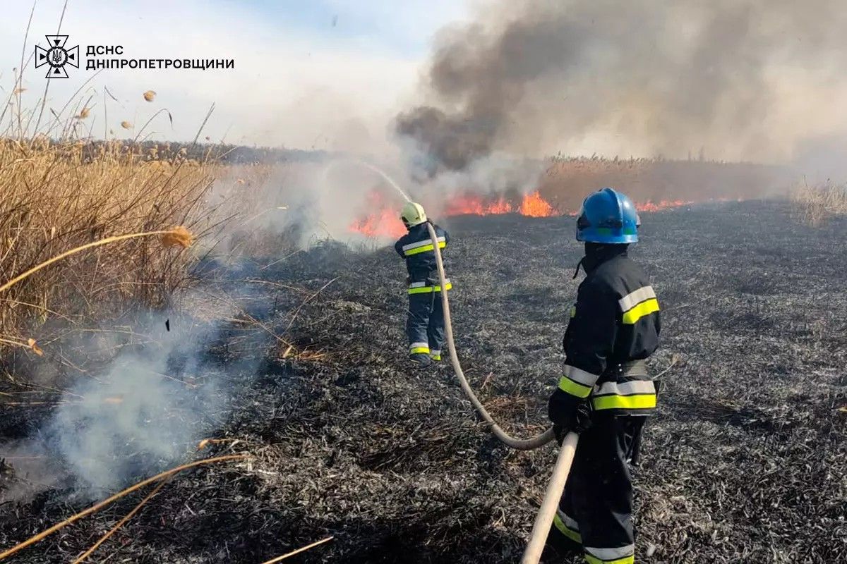 Ліквідували більше 50 загорань у природних екосистемах Ліквідували більше 50 загорань у природних екосистемах