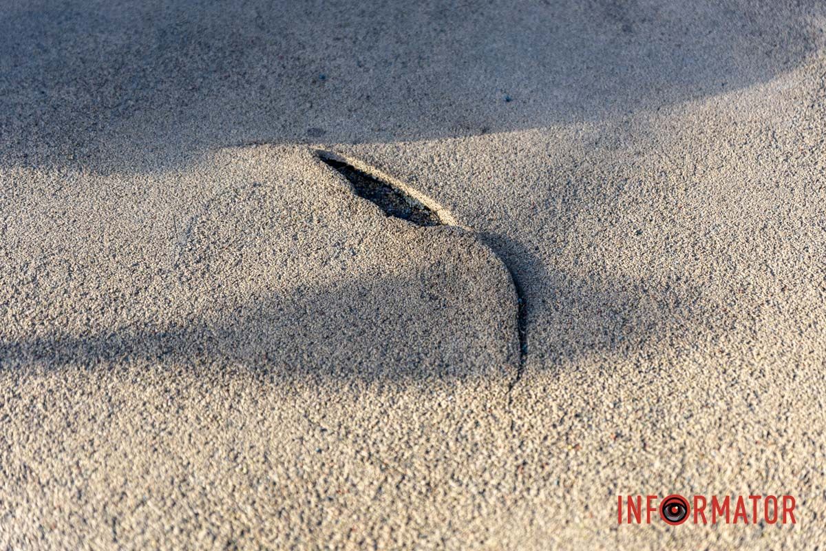 Любимое место горожан приходит в упадок: что произошло со сквером Прибрежным в Днепре 18