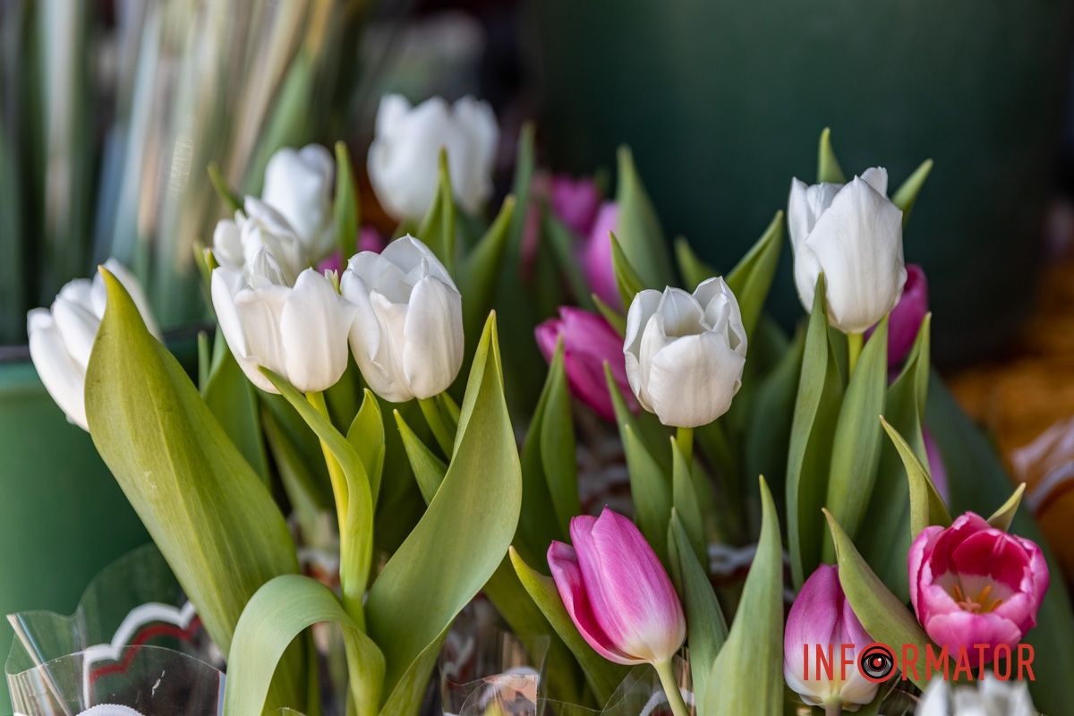 На "Озерке" продают цветы на любой вкус и бюджет Цветочный бум: сколько стоят цветы в Днепре перед 8 марта 12