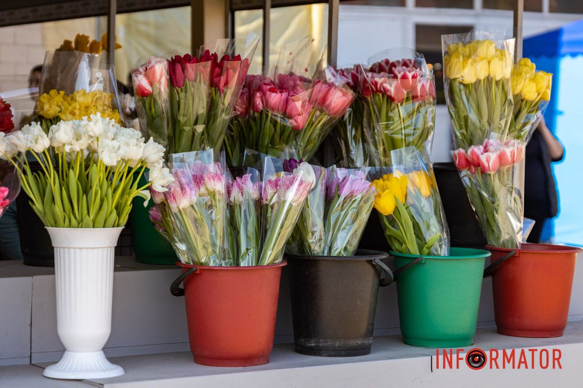 Тюльпаны в горшке также стоят 200 гривен Цветочный бум: сколько стоят цветы в Днепре перед 8 марта 10