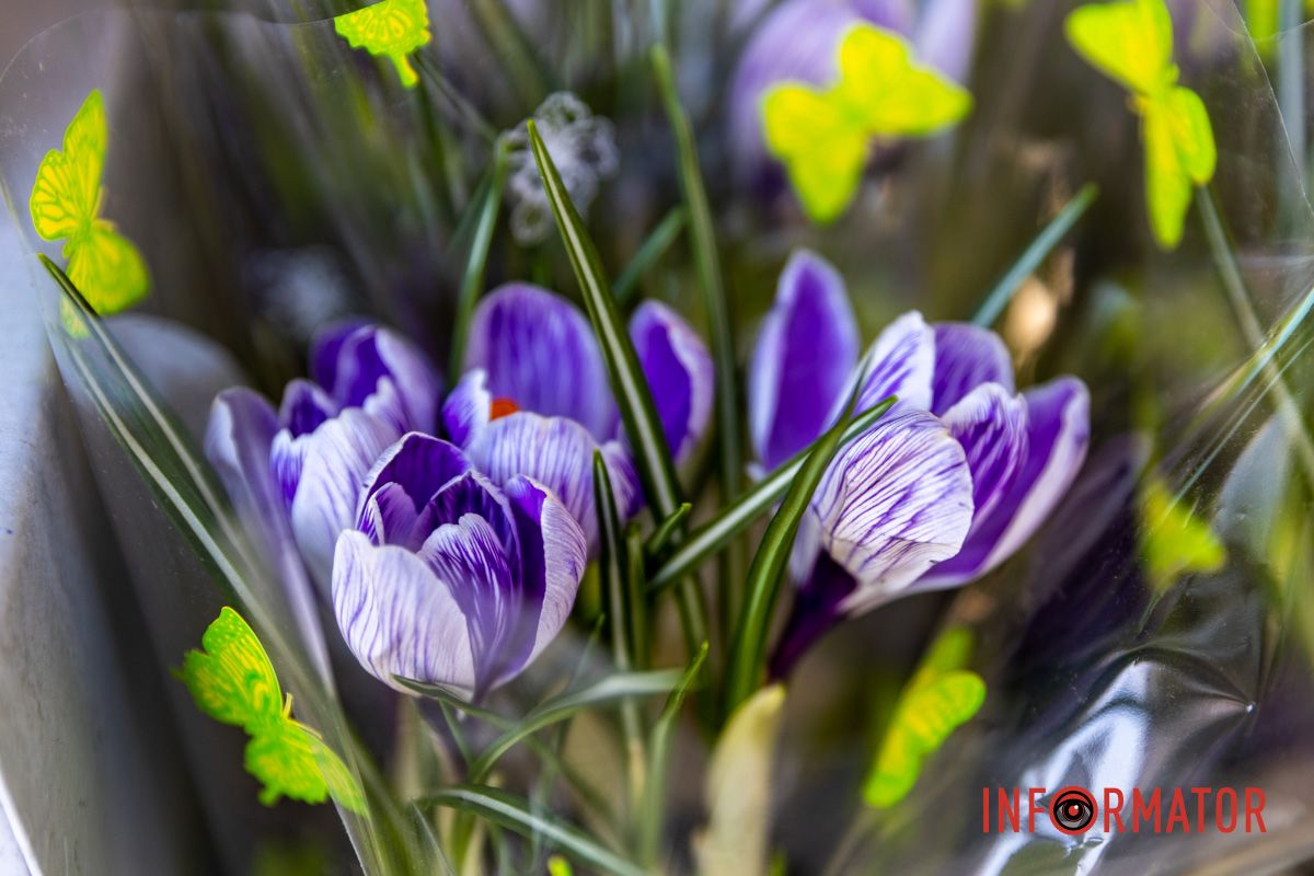 В продаже также много цветов в горшках. Цветочный бум: сколько стоят цветы в Днепре перед 8 марта 6