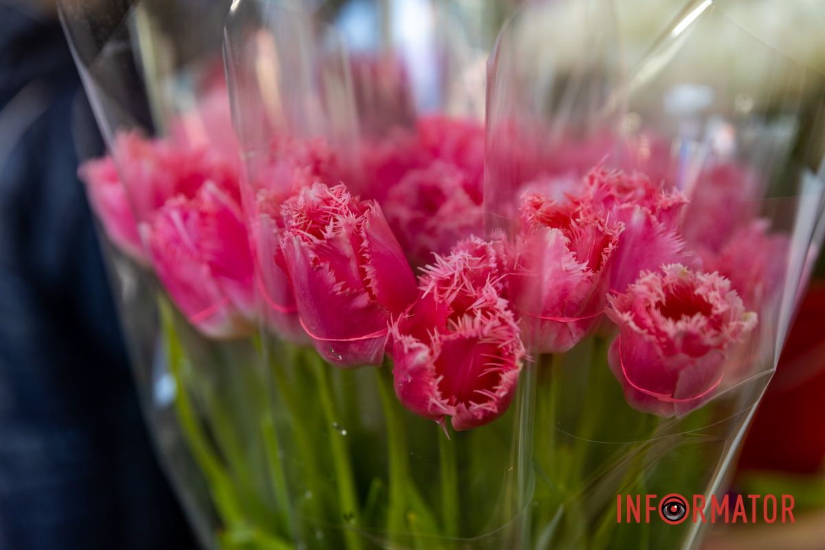 Тюльпаны разных цветов и форм стоят от 50 до 60 гривен за штуку Цветочный бум: сколько стоят цветы в Днепре перед 8 марта 4