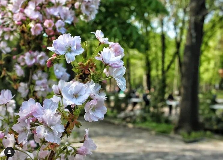 фотограф_андрей_мороз фотограф_андрей_мороз