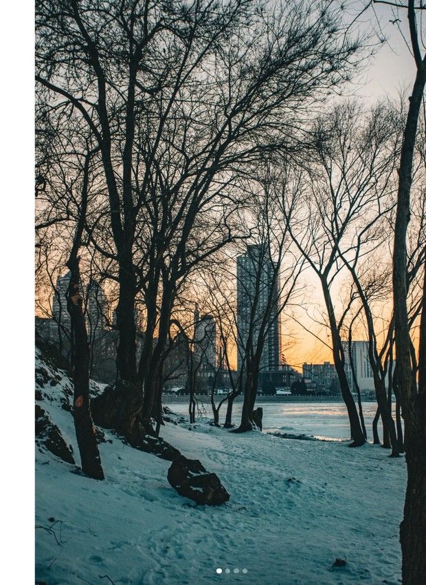 rokoman_ua rokoman_ua