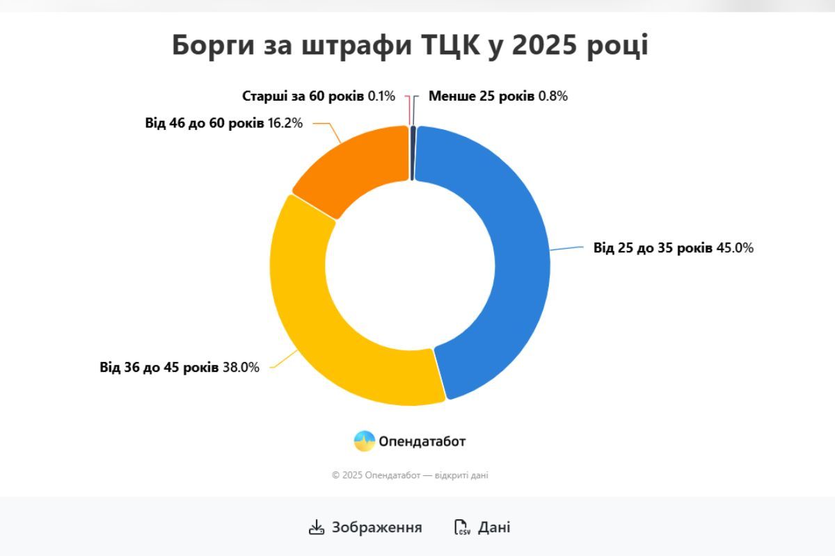 Найчастіше штрафують людей віком від 25 до 35 років 