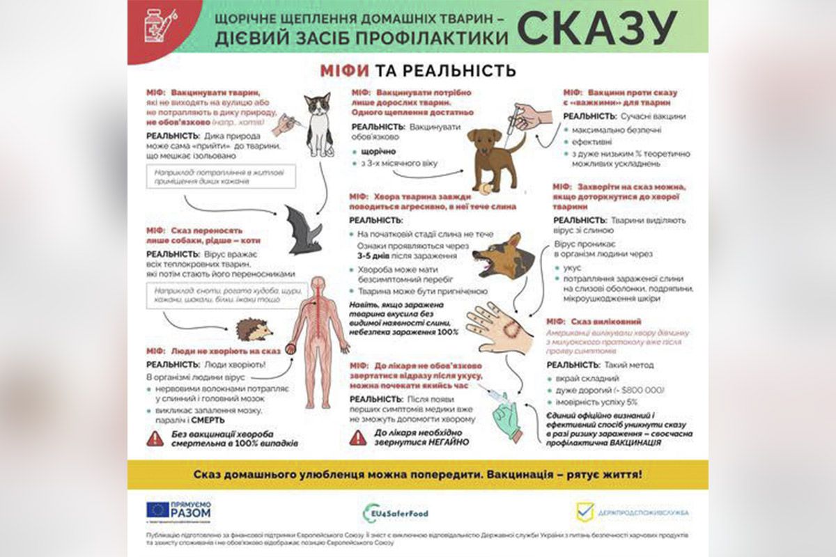 Людина підхопила сказ від власного кота: інфікований у лікарні Кам'янського 1