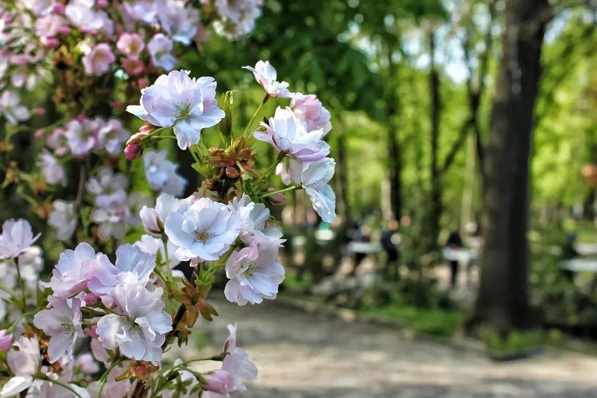 Фото: @photographer_andrey_moroz.