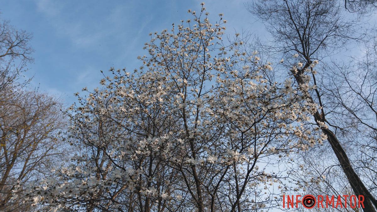 20 березня дніпрян зустріне хмарною погодою