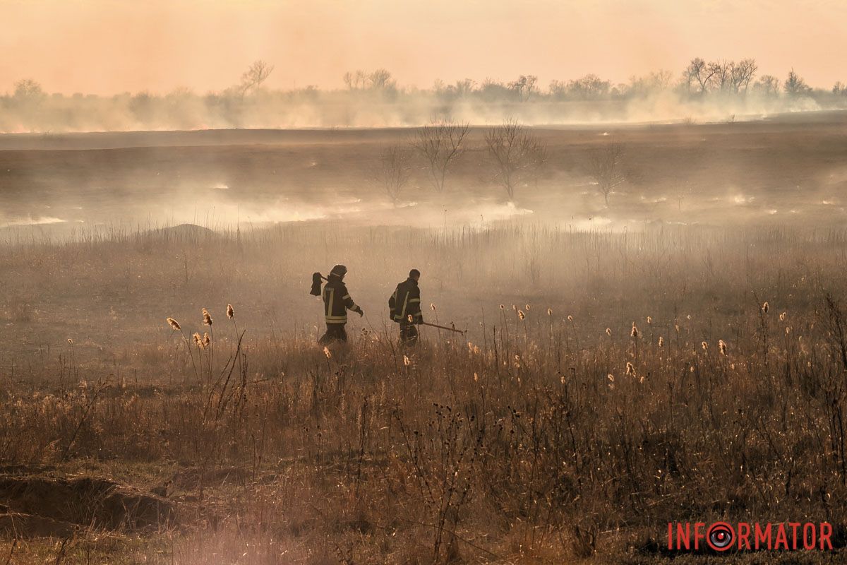 Сверхобработчики за работой Дым виден из Днепра: на Полтавском шоссе под Днепром масштабно пылает сухостой 8