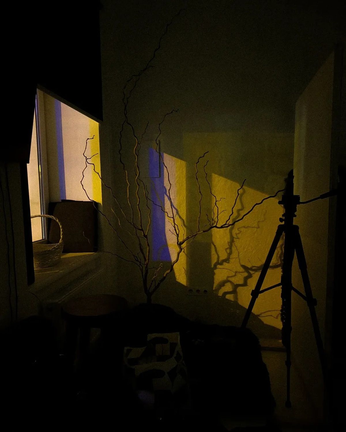 Фото: @victoriykaaa